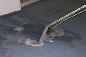 grauer Büroteppichboden wird intensiv gereinigt